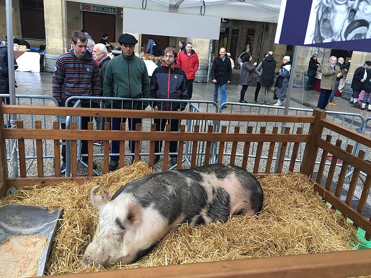 Arranca el Santo Tomas de 2017 y la plaza Constitución ya está lista para recibir a la gente. Los más madrugadores ya han podido ver a Úrsula.