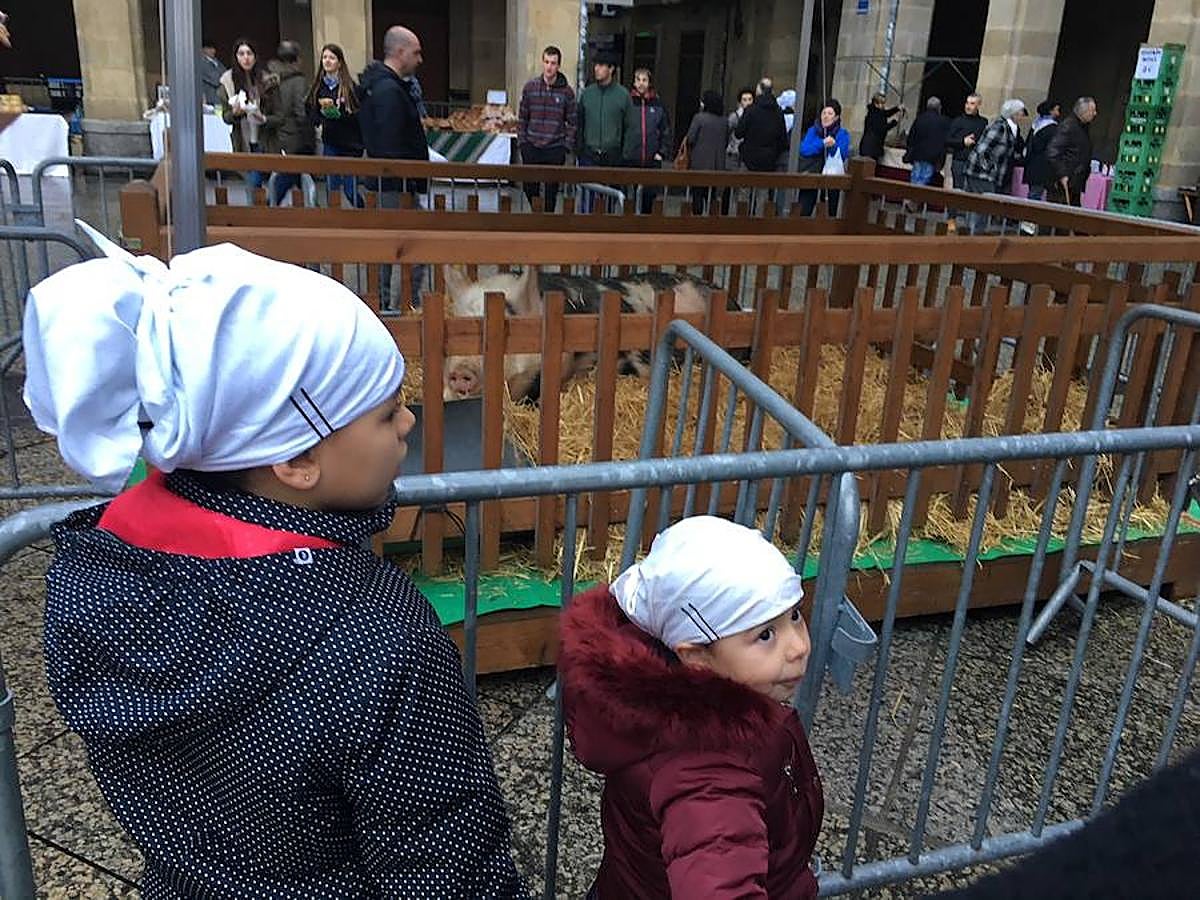Arranca el Santo Tomas de 2017 y la plaza Constitución ya está lista para recibir a la gente. Los más madrugadores ya han podido ver a Úrsula.