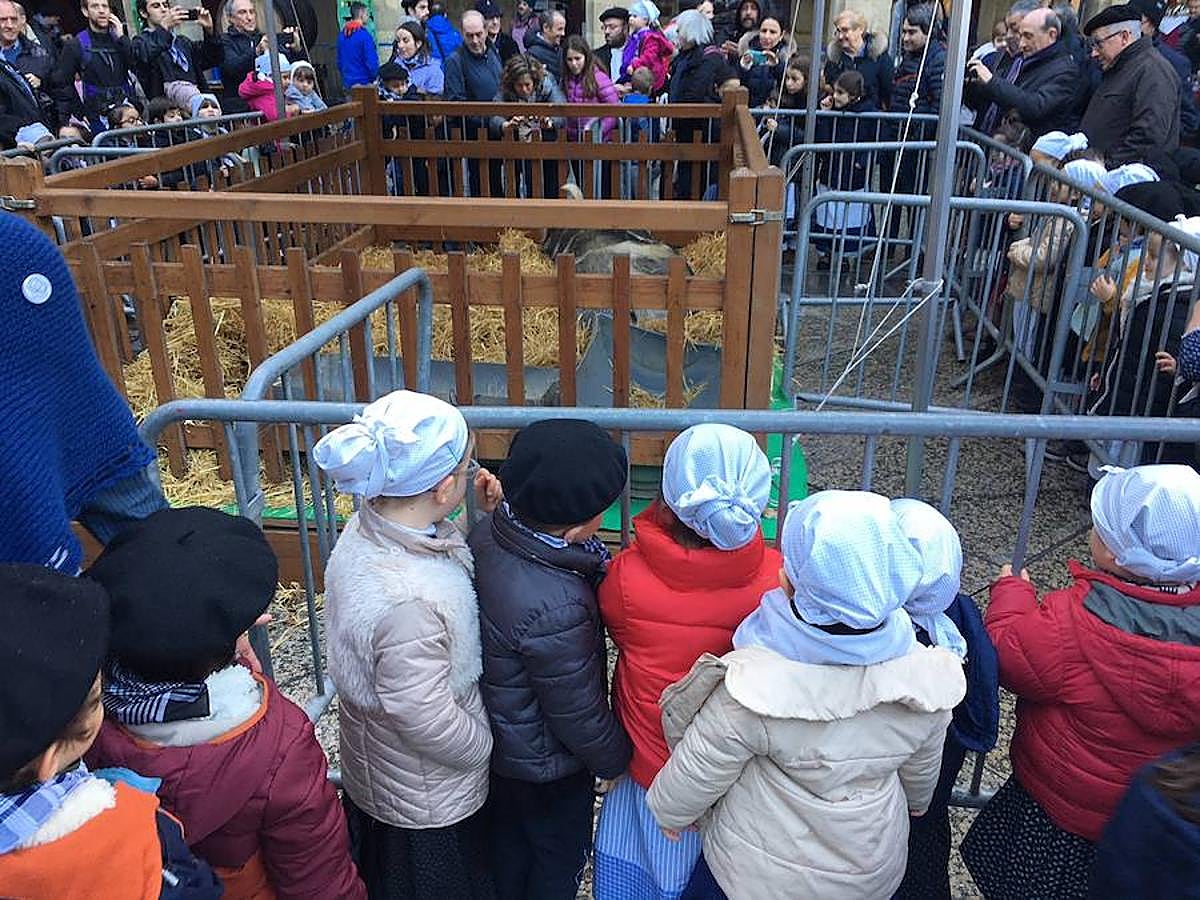 Arranca Santo Tomás y Donostia está lista para recibir a la gente.