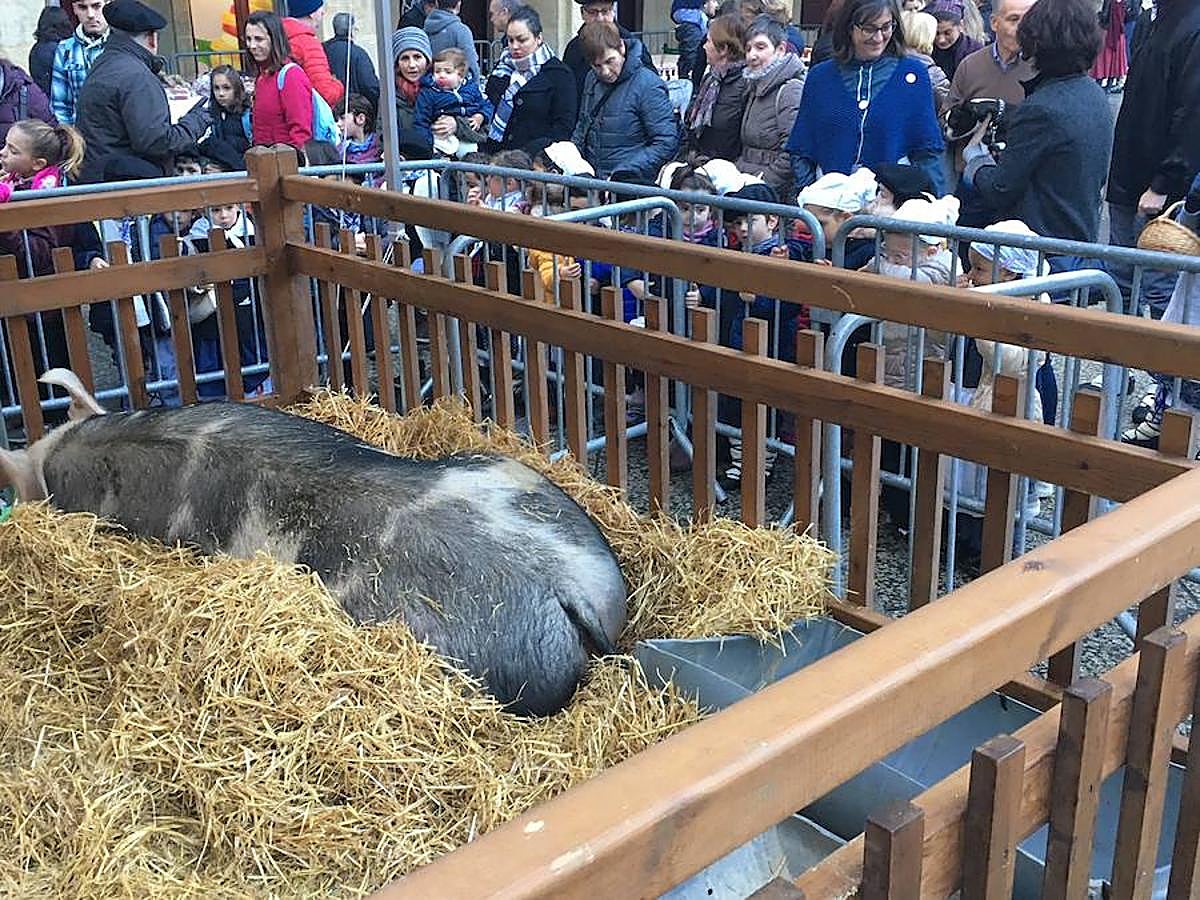 Arranca Santo Tomás y Donostia está lista para recibir a la gente.
