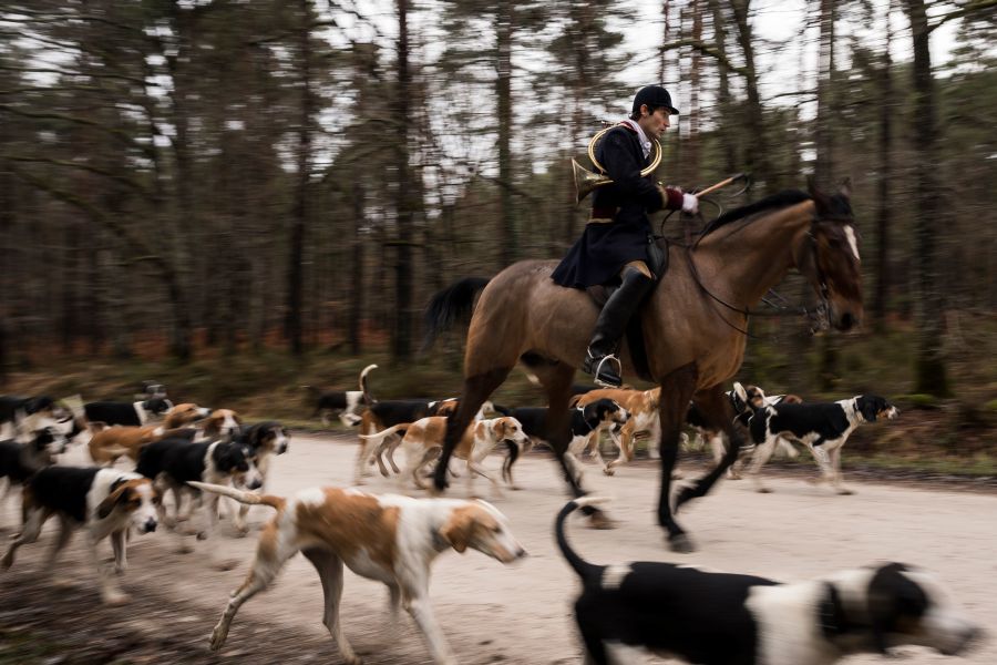 Desde hace un mes, los entusiastas de la caza con perros en Francia están preocupados por los esfuerzos de algunos colectivos para lograr prohibir esta parte del «patrimonio nacional» francés.
