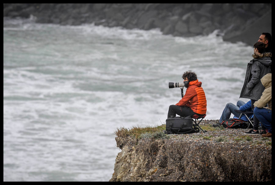 El estadounidense Nic Lamb ha sido el ganador de la duodécima edición del XII Punta Galea Challenge, campeonato internacional de surf sobre olas grandes disputado este sábado en aguas del Abra de Getxo, que ha contado con la participación de 24 surfistas y olas de hasta seis metros de altura.