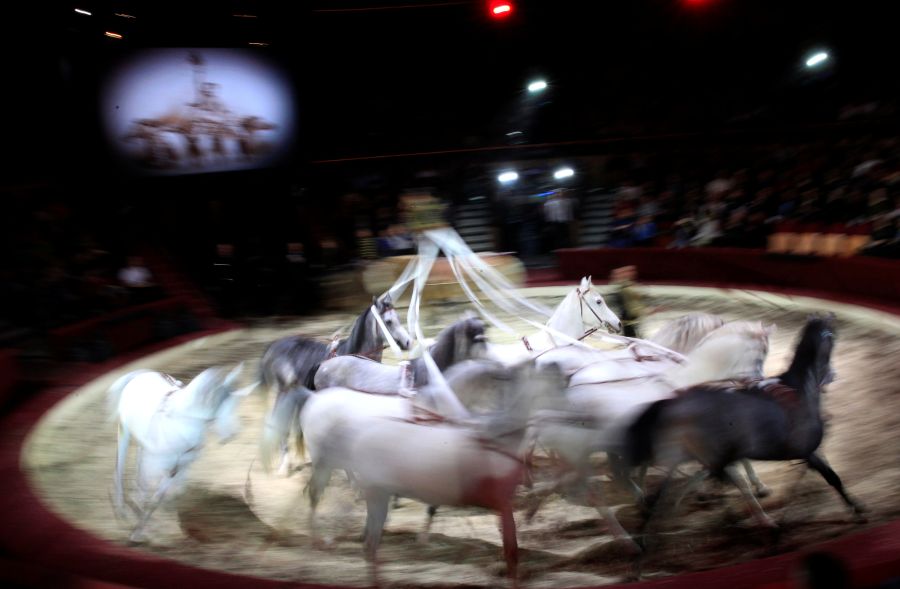 165 artistas de 20 países del mundo participan durante cuatro días en el XII Festival Internacional de Circo de Budapest