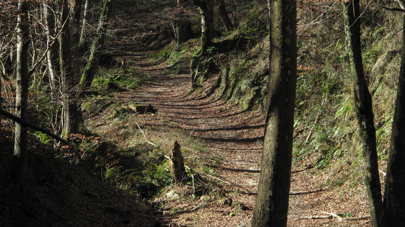 Muy cerca del centro geográfico de Gipuzkoa, en el valle de Salubita, el paso del tiempo y el vertiginoso descenso del río Igaran han esculpido la tierra a su antojo