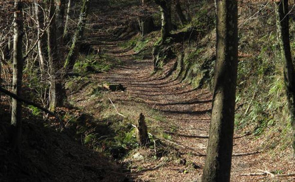 El Valle Encantado de Tolosa