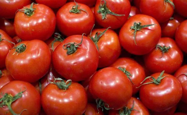 El desconocido y gran efecto de la dieta del tomate