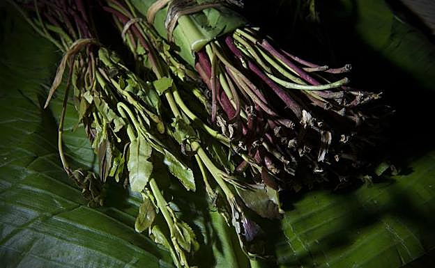 Un manojo de Khat. 