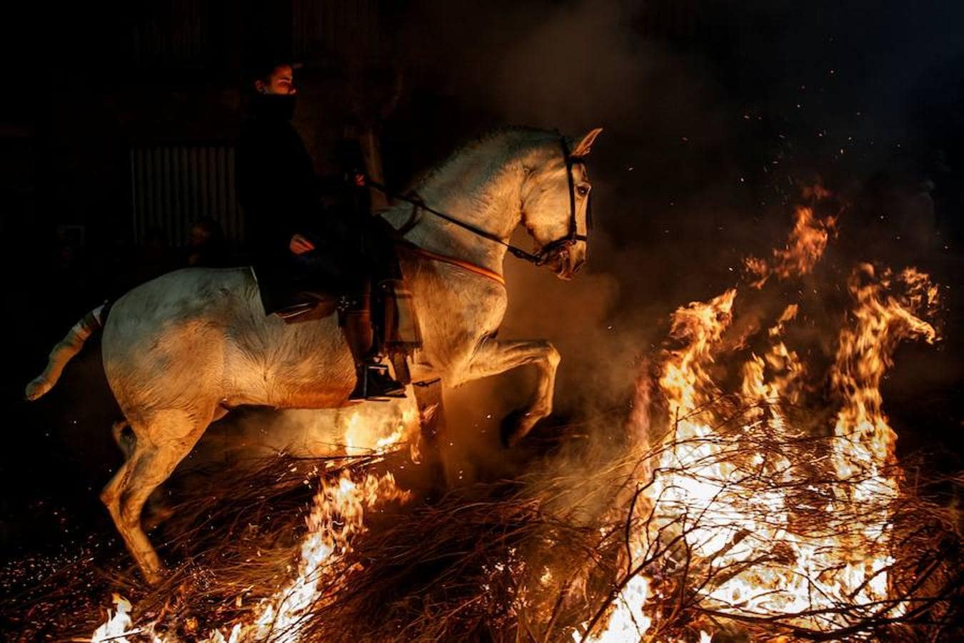 Varios jinetes salta sobre una hoguera en el pueblo de San Bartolomé de Pinares en la provincia de Ávila durante la inauguración de la tradicional fiesta religiosa 'Luminarias' en honor a San Antonio Abad.