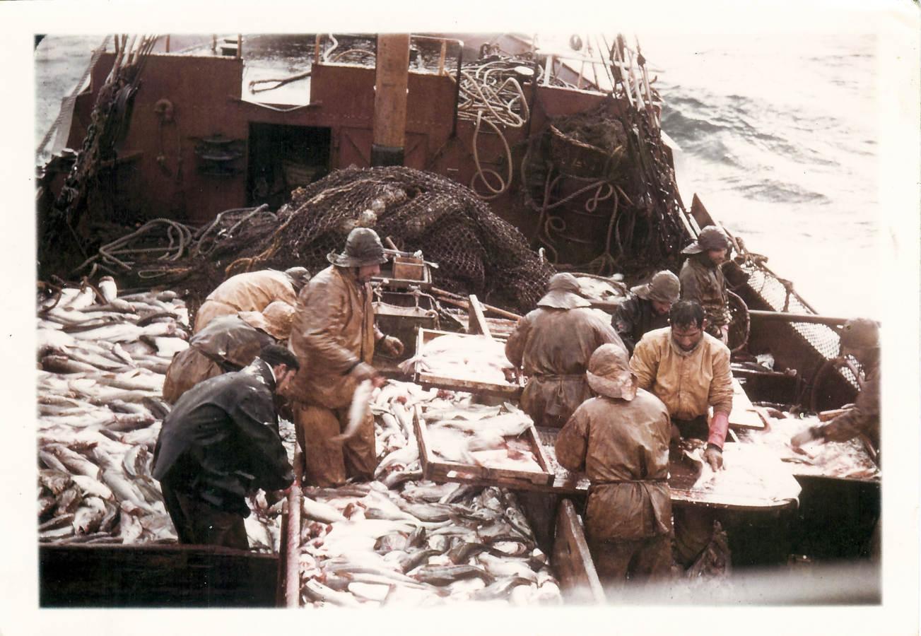 Algunos patrones y pescadores disponian de cámaras en Super 8, a veces compradas en la misma Canadá, con las que recogían detalles de su trabajo. 