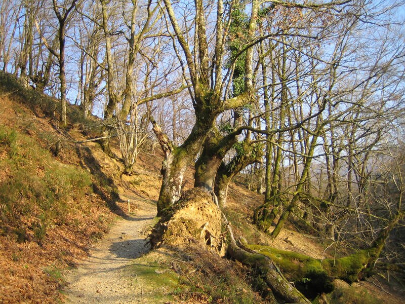 En los bucólicos valles de la Navarra verde, donde se funden los valles del Baztan y el Bidasoa, se esconde un molino de nombre inquietante y revoltosa historia