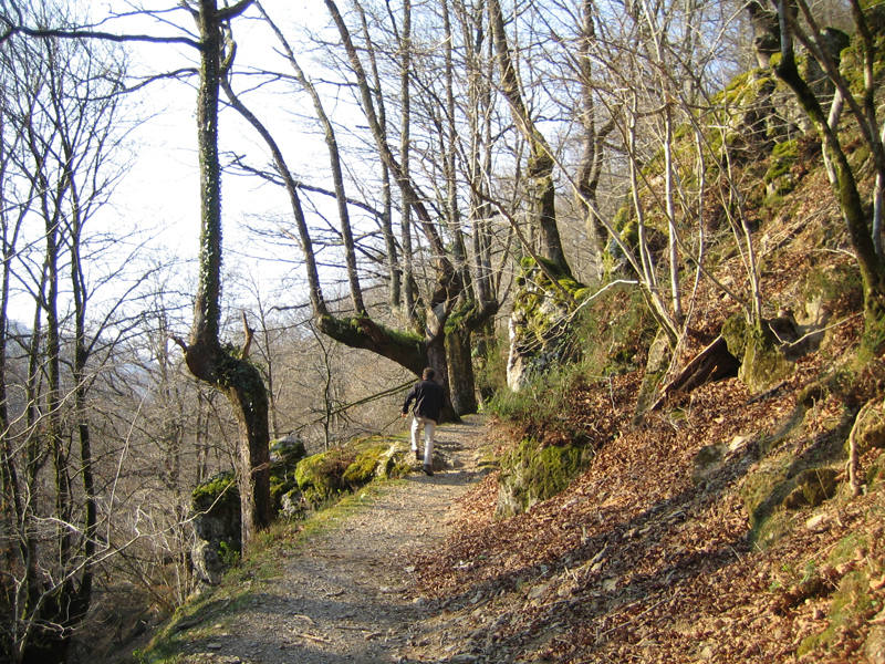 En los bucólicos valles de la Navarra verde, donde se funden los valles del Baztan y el Bidasoa, se esconde un molino de nombre inquietante y revoltosa historia