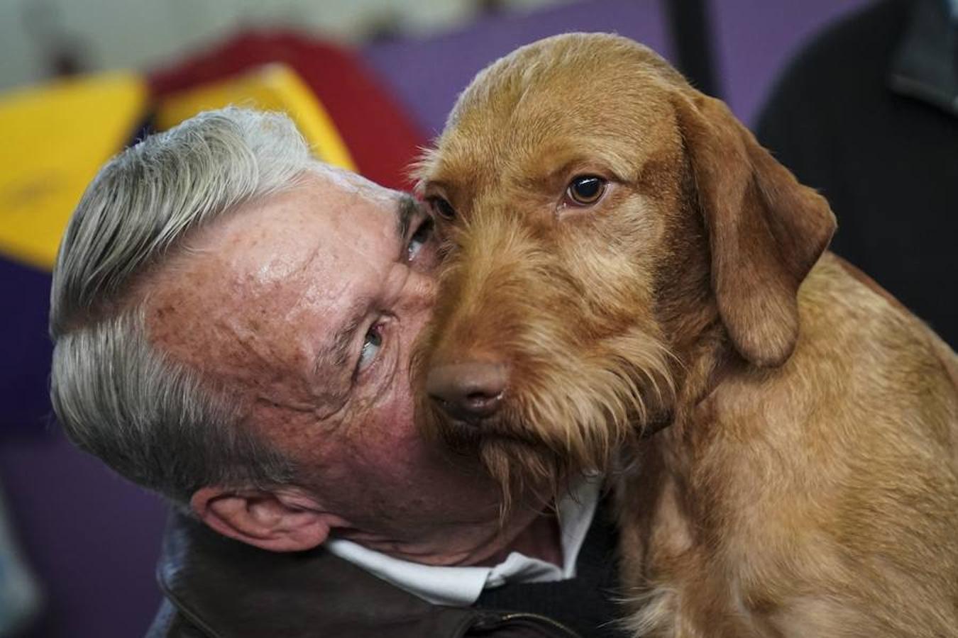 El Bichón Frise Flynn de cinco años ha sido nombrado como 'El mejor del espectáculo' en la 142 edición del 'Westminister Dog Show' en Nueva York. Han sido muchos los dueños que han llevado a sus perros para que participen en este popular certamen.