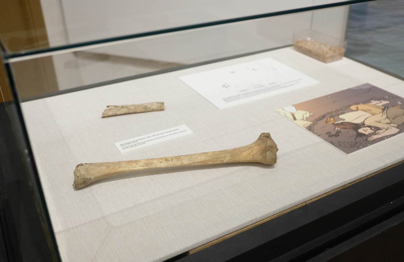 La Sociedad de Ciencias Aranzadi muestra en Hondarribia los hallazgos aparecidos en el monte Jaizkibel, de 8.000 años de antiguedad.