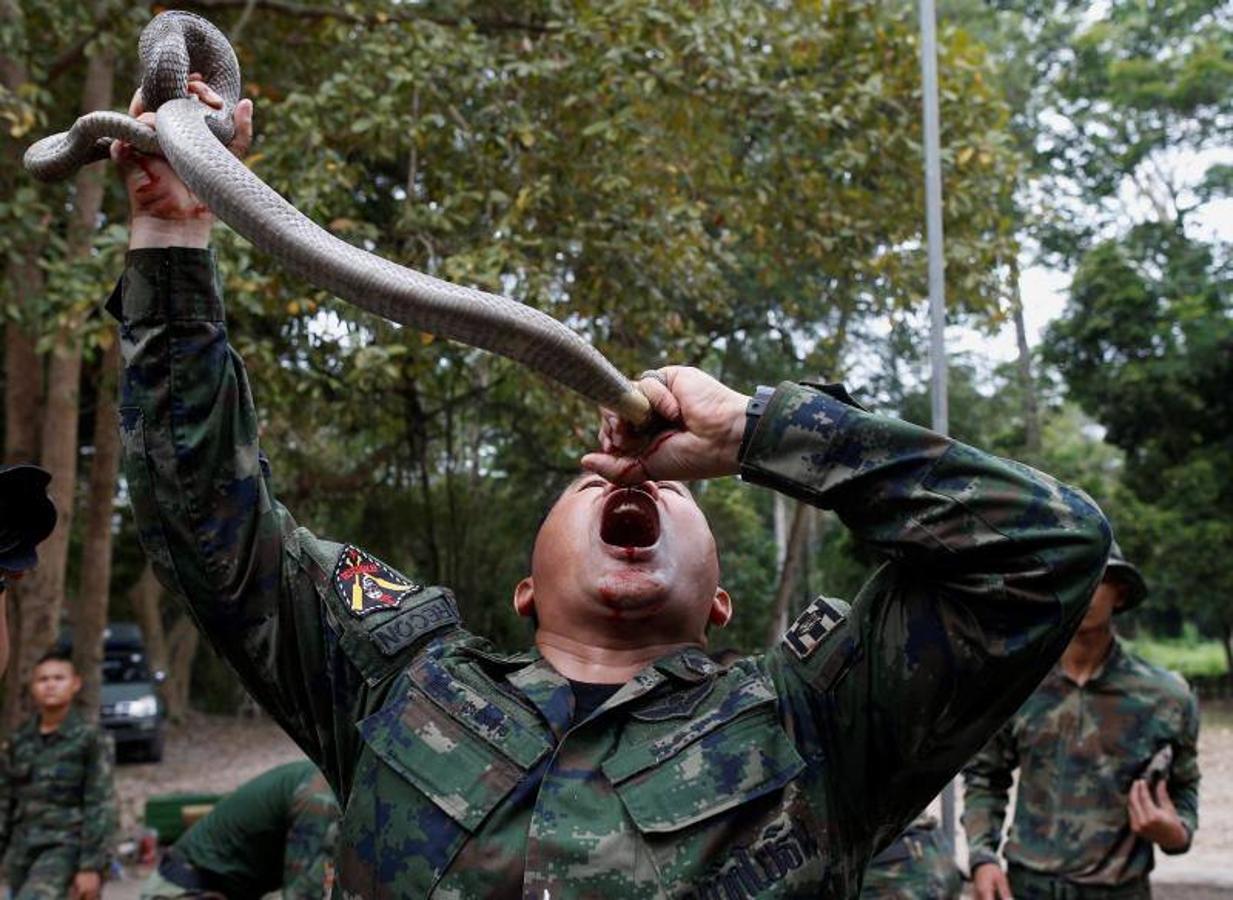 Marines estadounidenses beben la sangre de una cobra ofrecida por un instructor de la Marina tailandesa durante un entrenamiento de supervivencia en la jungla como parte de las maniobras militares conjuntas multinacionales Cobra Gold 2018 en un campamento militar tailandés en el distrito de Sattahip, provincia de Chonburi (Tailandia).