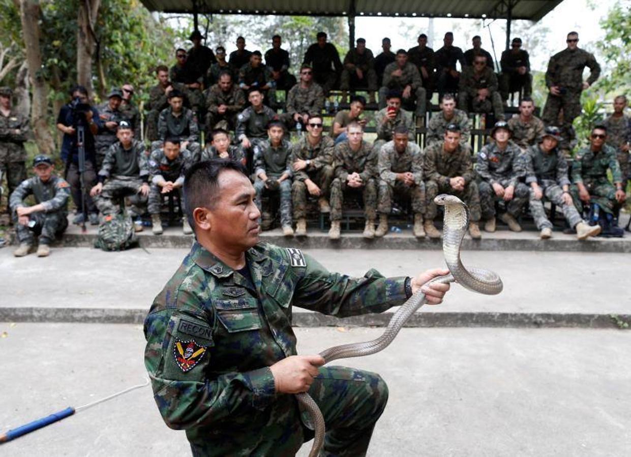 Marines estadounidenses beben la sangre de una cobra ofrecida por un instructor de la Marina tailandesa durante un entrenamiento de supervivencia en la jungla como parte de las maniobras militares conjuntas multinacionales Cobra Gold 2018 en un campamento militar tailandés en el distrito de Sattahip, provincia de Chonburi (Tailandia).