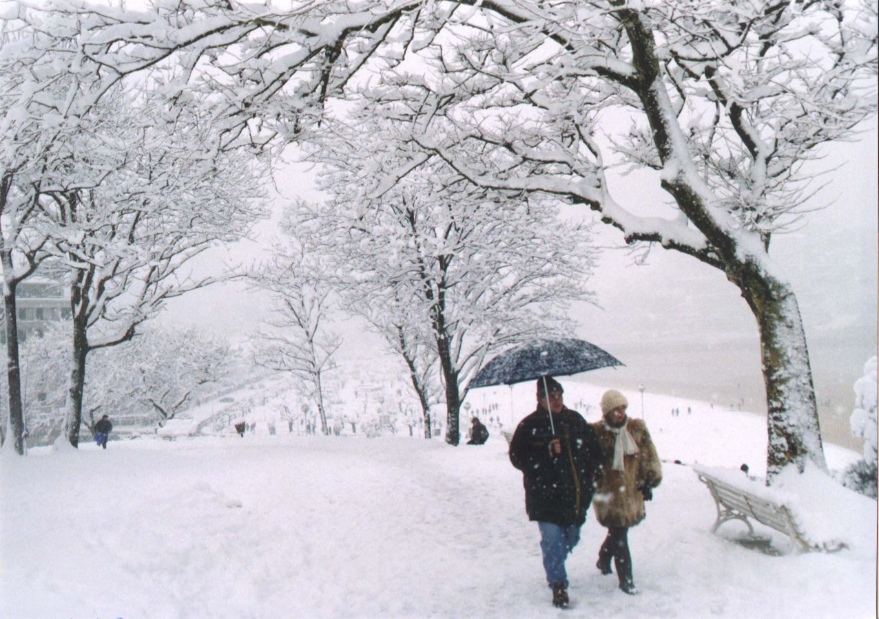 A primeras horas de la mañana del 20 de febrero de 1996 la nieve comenzó a caer sobre San Sebastián. Todo empeoró al día siguiente