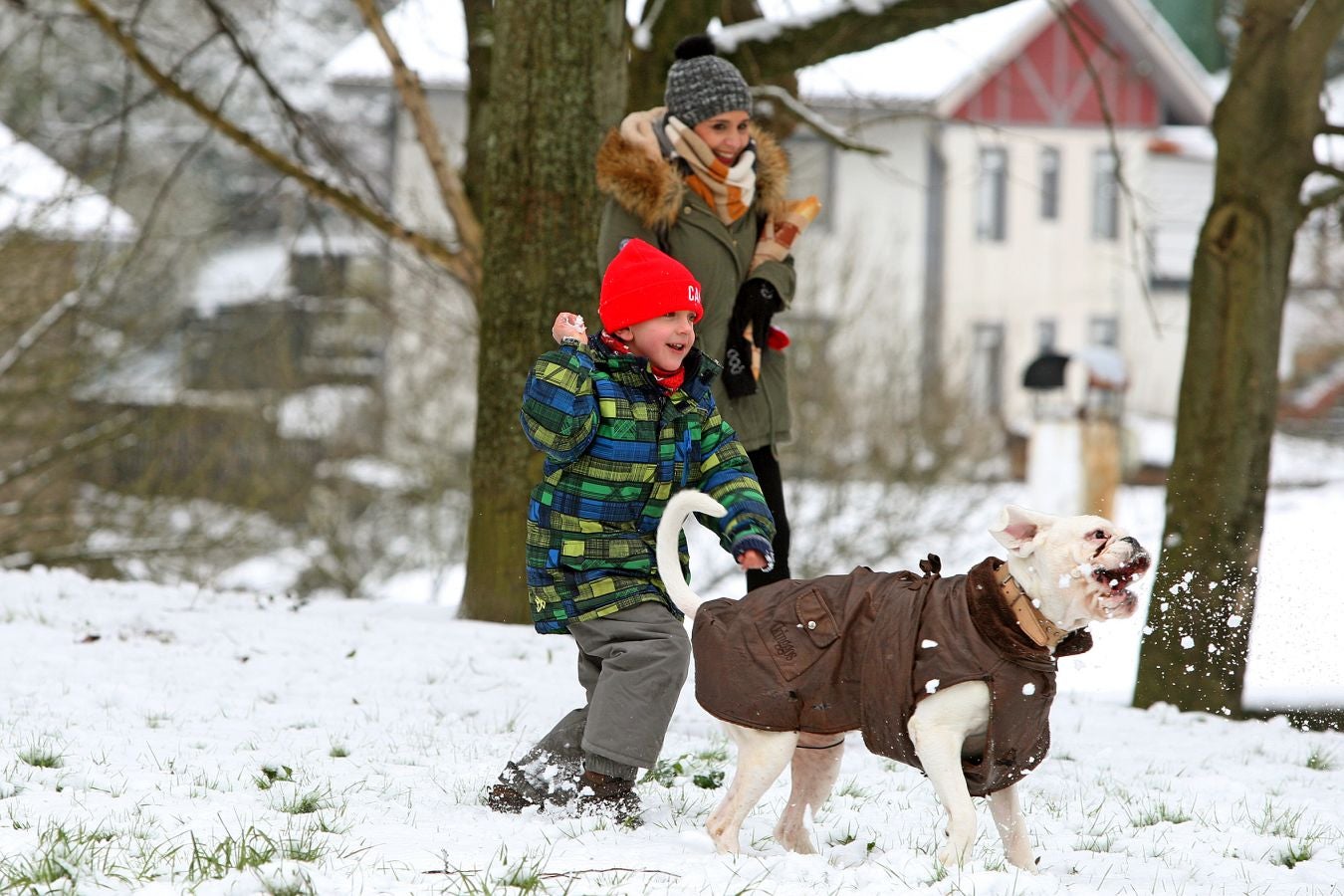Fotos: Nieve en Lezo