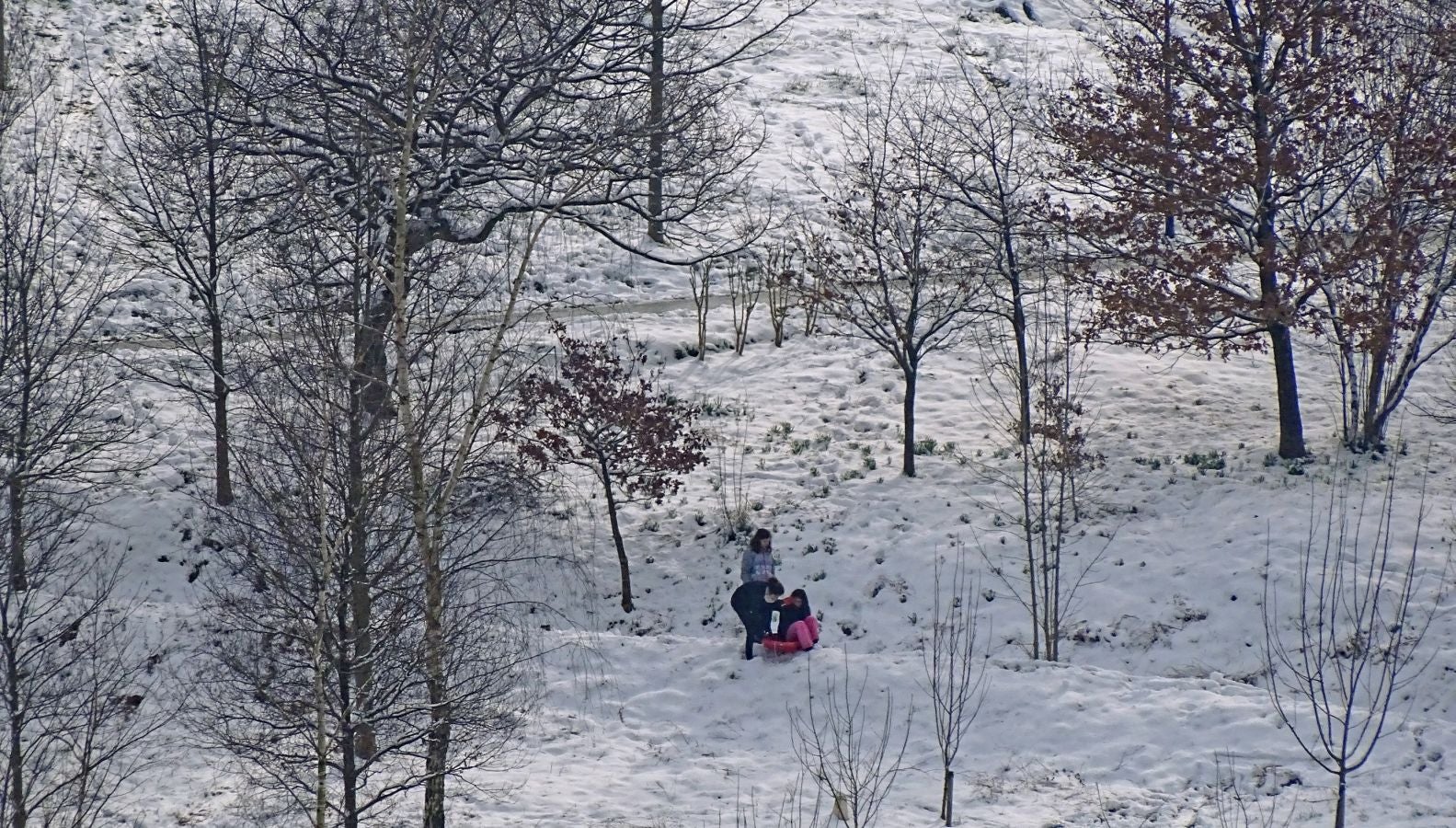 Fotos: Errenteria bajo la nieve