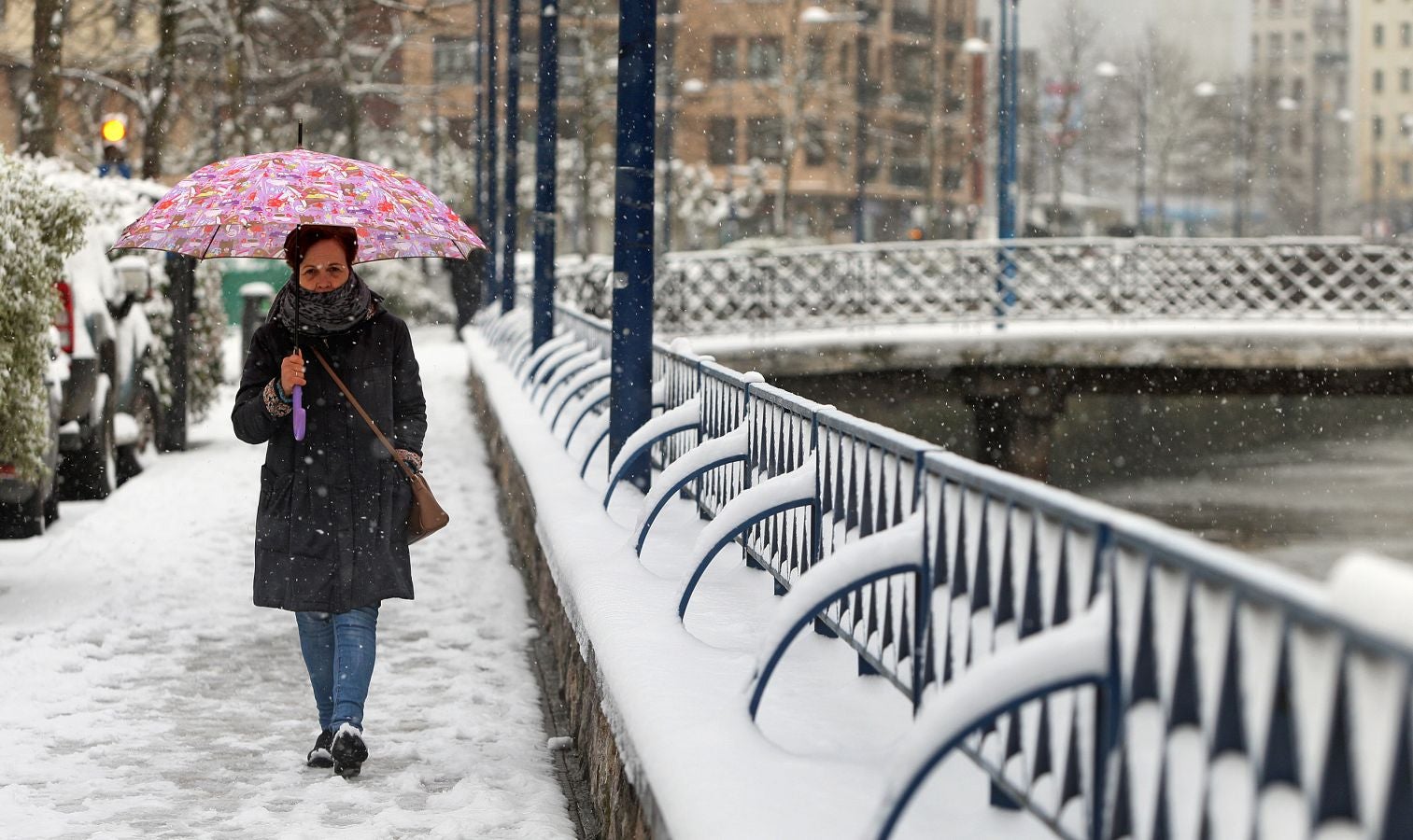Fotos: Errenteria bajo la nieve