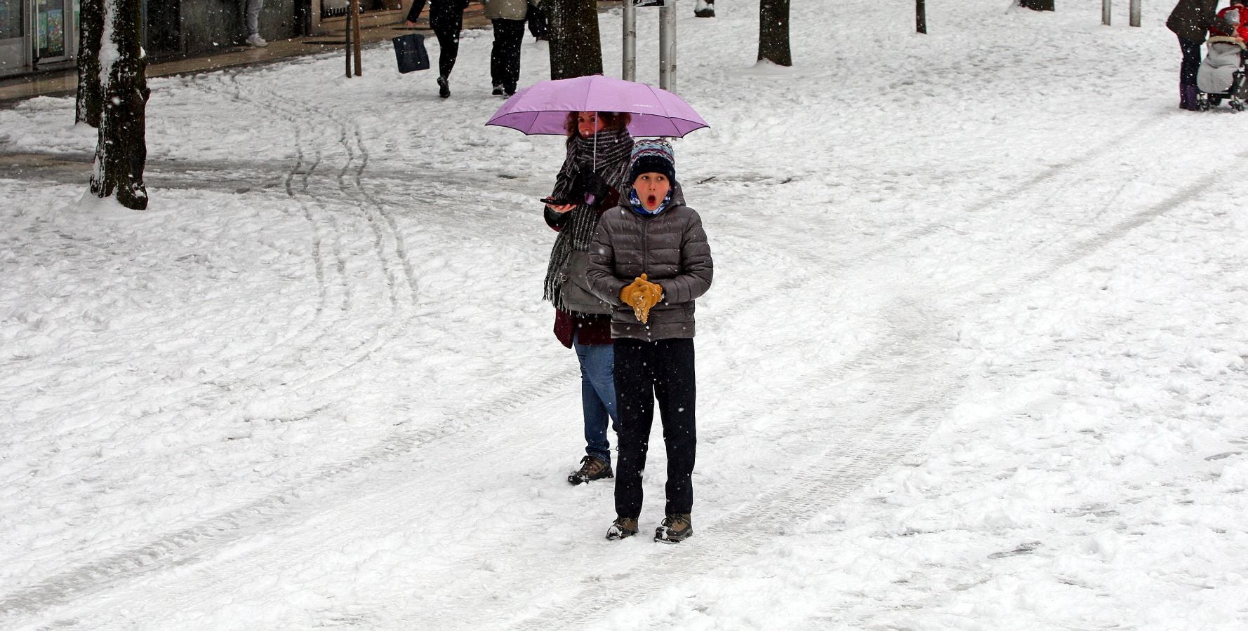 Fotos: Errenteria bajo la nieve