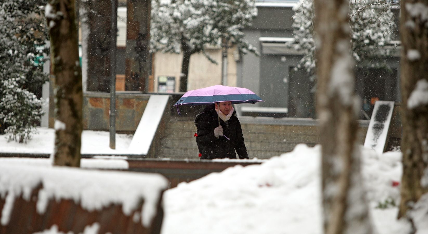 Fotos: Errenteria bajo la nieve