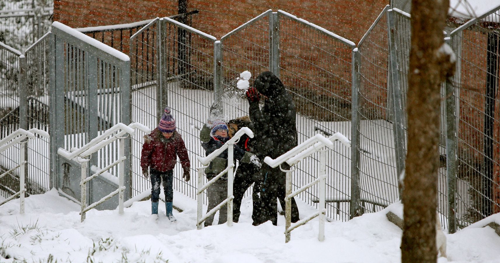 Fotos: Errenteria bajo la nieve