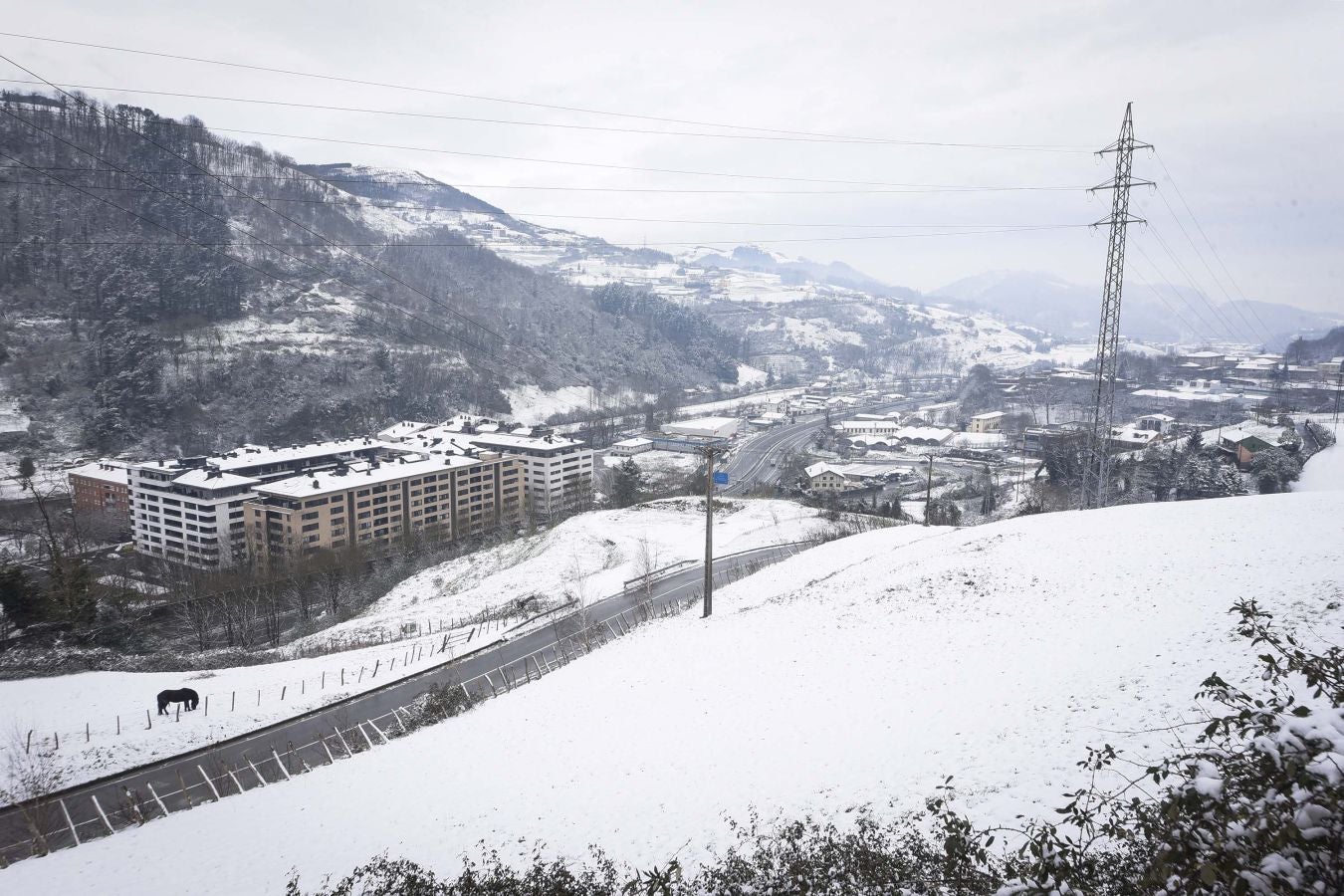 La intensa nevada ha cubierto de blanco la localidad y ha dejado estampas para el recuerdo