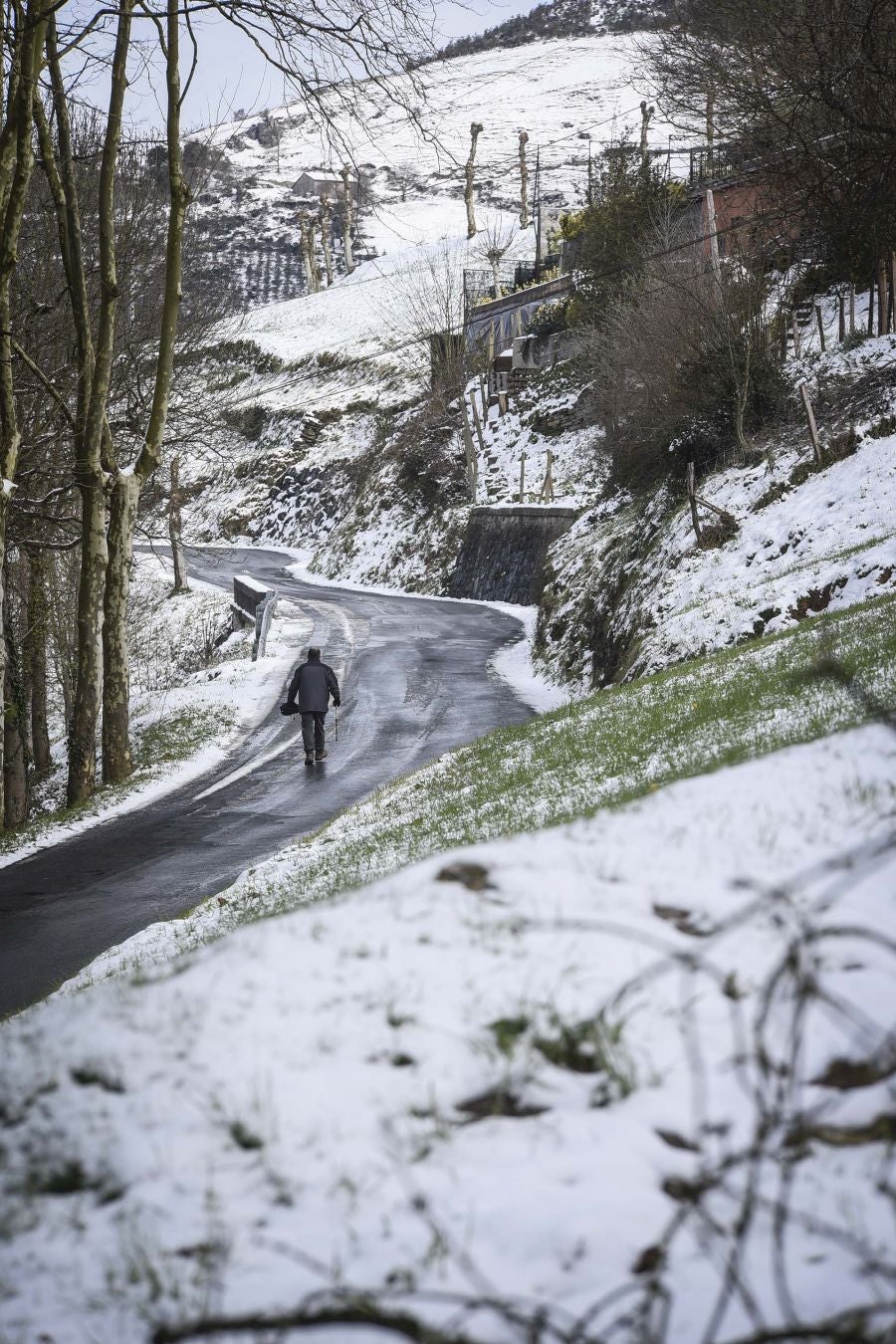 La intensa nevada ha cubierto de blanco la localidad y ha dejado estampas para el recuerdo