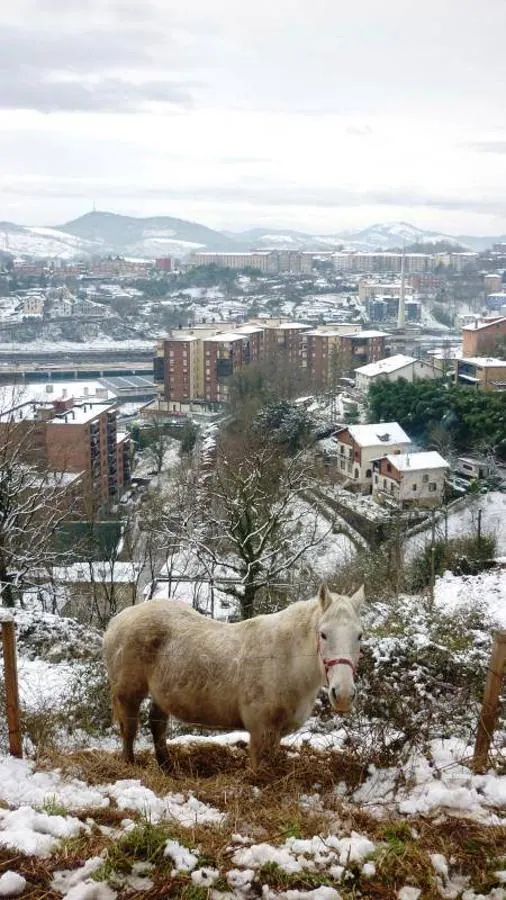 La nieve ha dejado bonitas estampas de Pasaia