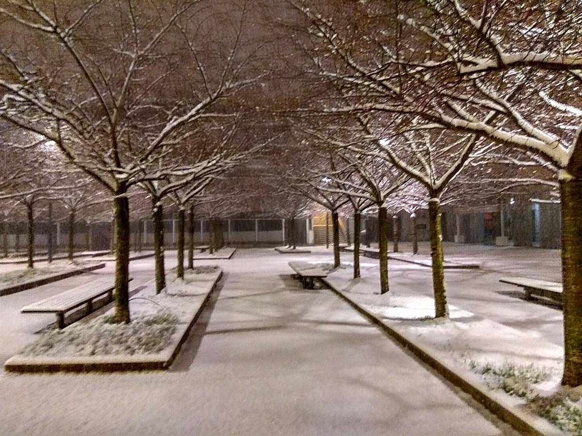 La nieve ha caído con intensidad en la capital guipuzcoana desde primera hora de la mañana