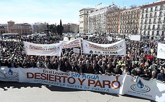 Vista general de la manifestación. 