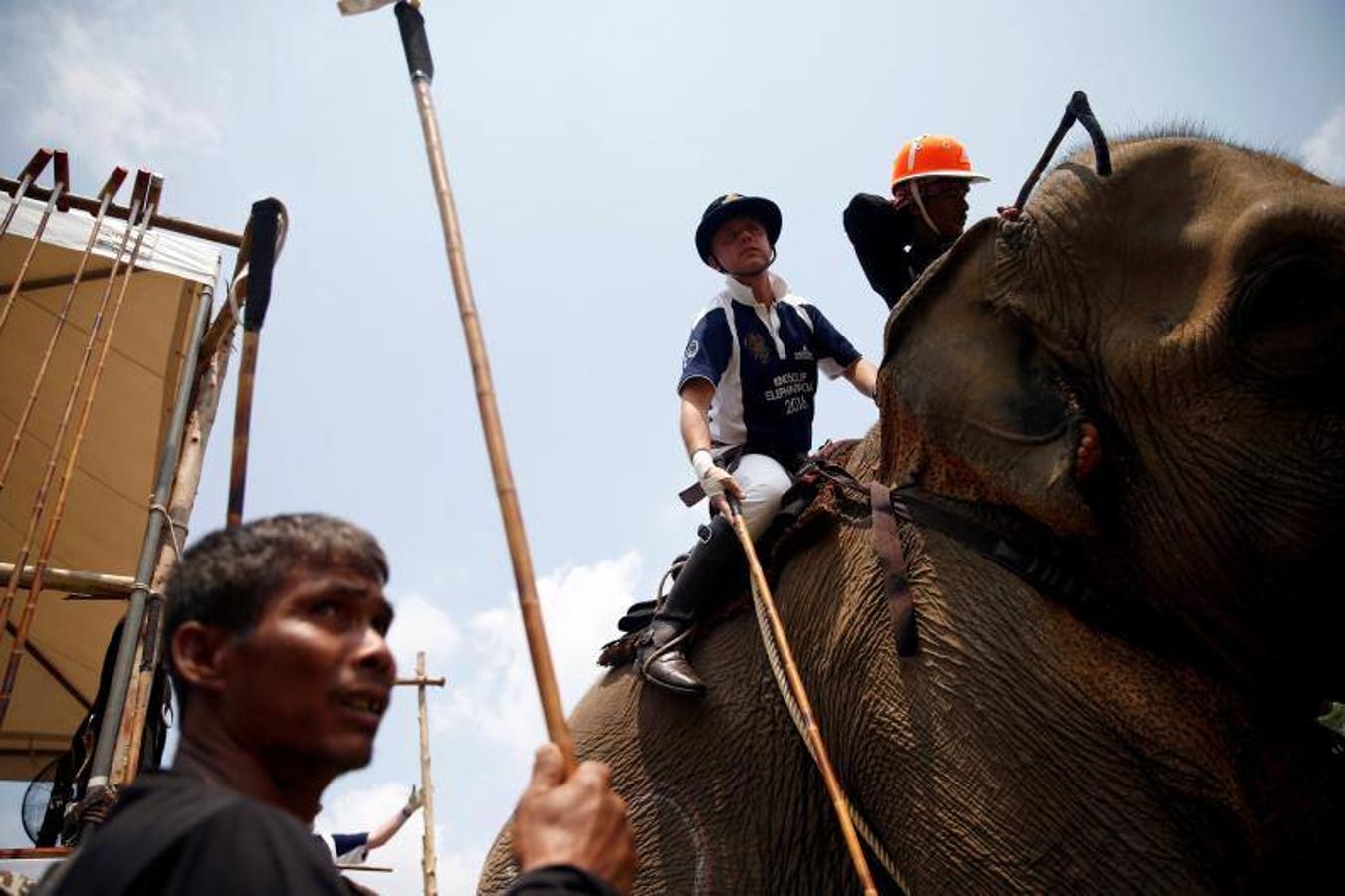 La gente alimenta a los elefantes antes de un partido en el Torneo de Polo de Elefante de la Copa del Rey en un resort ribereño en Bangkok