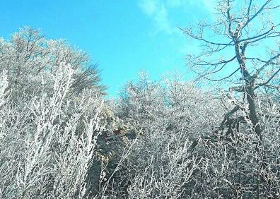 Imagen secundaria 1 - Herniozabal: Mezcla de aromas a salitre y nieve