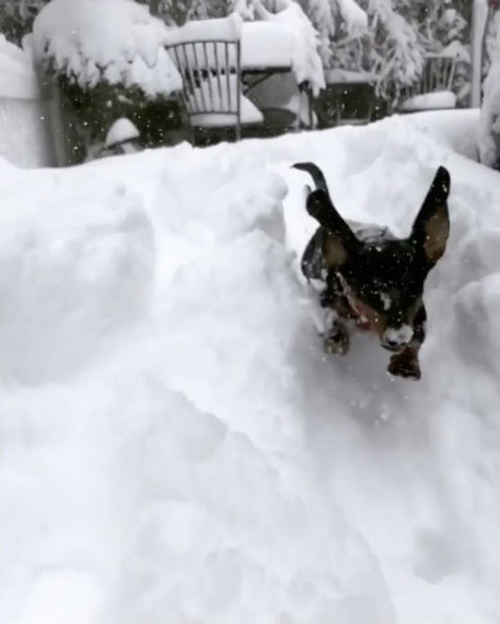 La tercera tormenta invernal de las últimas dos semanas azotó el martes el noreste de Estados Unidos con ventiscas y más de 30 centímetros de nieve en algunas partes, y ha dejado decenas de miles de casas y negocios sin electricidad. 