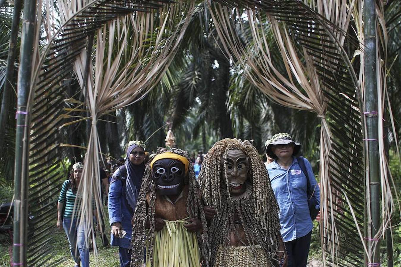 El pueblo de la tribu Mah Meri , Malasia, celebra el festival Ari Muyang o Día del Ancestro. Para la ocasión los miembros de la tribu utilizan máscaras para realizar el tradicional baile 'Main Jooh' y ofrecen oraciones y bendiciones en honor a sus antepasados.