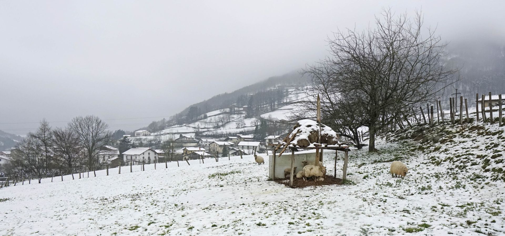 Localidades del interior como Berastegi, Elgeta o Arrasate han amanecido cubiertas de blanco, al igual que los montes del territorio
