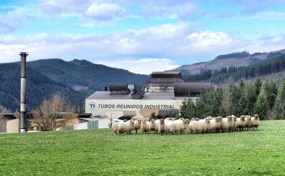 Planta industrial de Tubos Reunidos en el Valle de Ayala.