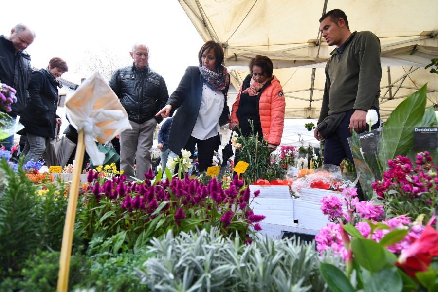 Segura ha celebrado su tradicional Feria de Flores y Plantas, y han sido muchos los vecinos de la localidad que se han acercado a la cita primaveral.