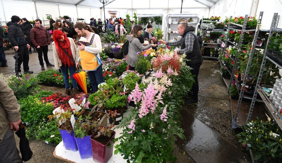 Segura ha celebrado su tradicional Feria de Flores y Plantas, y han sido muchos los vecinos de la localidad que se han acercado a la cita primaveral.