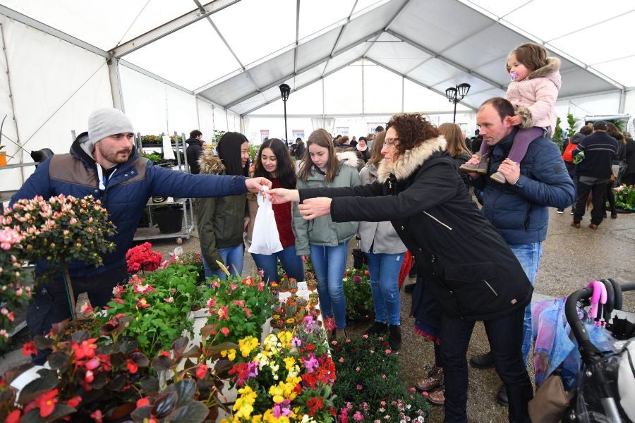 Segura ha celebrado su tradicional Feria de Flores y Plantas, y han sido muchos los vecinos de la localidad que se han acercado a la cita primaveral.