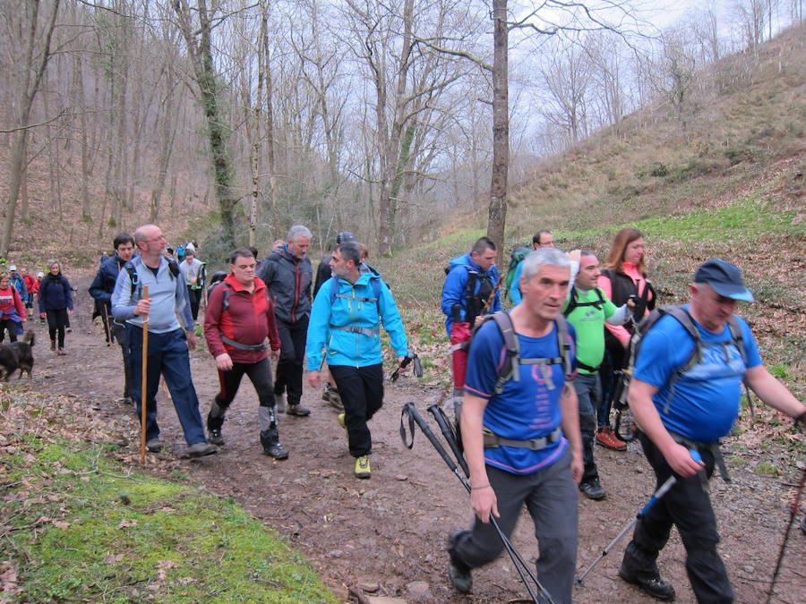 El grupo de montaña Aizkardi, de Amasa-Villabona, celebró el domingo su 50 marcha montañera con gran éxito de participación, 764 personas que desafiaron al mal tiempo con humor. De ellos 316 montañeros partieron a las siete de la mañana desde la plaza de Villabona para completar un recorrido de 43 kilómetros. A las ocho fueron 448 los que dieron comienzo a la marcha con el objetivo de hacer 22 kilómetros. El barro fue el mayor enemigo y lo positivo que la lluvia dio tregua. Gorka Zubeldia recibió el premio Shebe Peña.