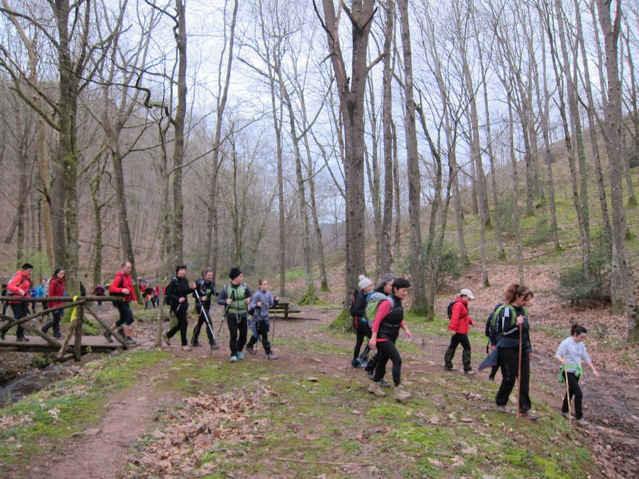El grupo de montaña Aizkardi, de Amasa-Villabona, celebró el domingo su 50 marcha montañera con gran éxito de participación, 764 personas que desafiaron al mal tiempo con humor. De ellos 316 montañeros partieron a las siete de la mañana desde la plaza de Villabona para completar un recorrido de 43 kilómetros. A las ocho fueron 448 los que dieron comienzo a la marcha con el objetivo de hacer 22 kilómetros. El barro fue el mayor enemigo y lo positivo que la lluvia dio tregua. Gorka Zubeldia recibió el premio Shebe Peña.