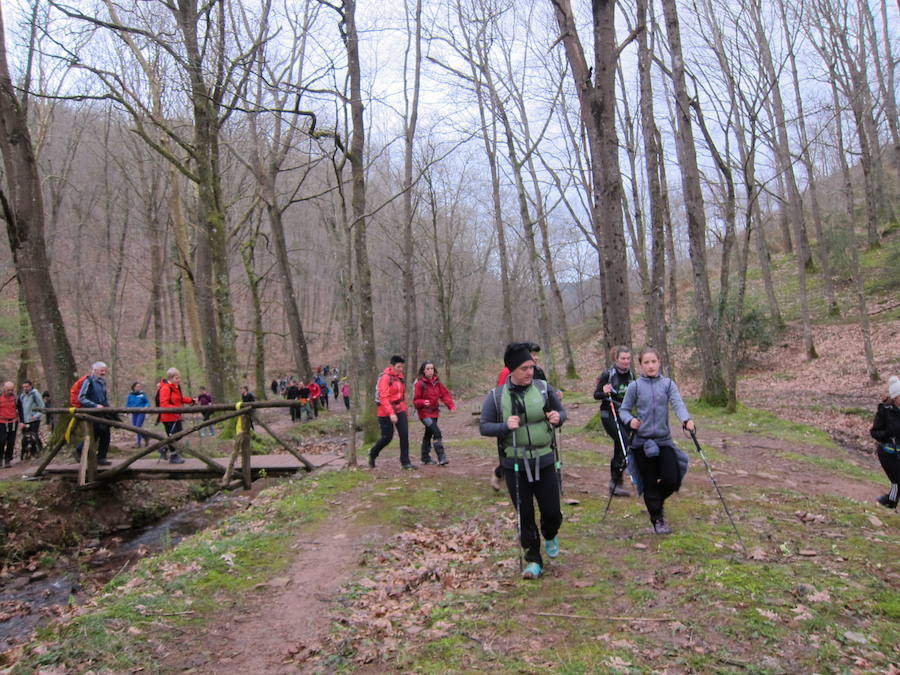 El grupo de montaña Aizkardi, de Amasa-Villabona, celebró el domingo su 50 marcha montañera con gran éxito de participación, 764 personas que desafiaron al mal tiempo con humor. De ellos 316 montañeros partieron a las siete de la mañana desde la plaza de Villabona para completar un recorrido de 43 kilómetros. A las ocho fueron 448 los que dieron comienzo a la marcha con el objetivo de hacer 22 kilómetros. El barro fue el mayor enemigo y lo positivo que la lluvia dio tregua. Gorka Zubeldia recibió el premio Shebe Peña.