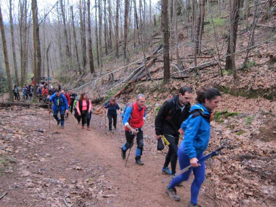 El grupo de montaña Aizkardi, de Amasa-Villabona, celebró el domingo su 50 marcha montañera con gran éxito de participación, 764 personas que desafiaron al mal tiempo con humor. De ellos 316 montañeros partieron a las siete de la mañana desde la plaza de Villabona para completar un recorrido de 43 kilómetros. A las ocho fueron 448 los que dieron comienzo a la marcha con el objetivo de hacer 22 kilómetros. El barro fue el mayor enemigo y lo positivo que la lluvia dio tregua. Gorka Zubeldia recibió el premio Shebe Peña.
