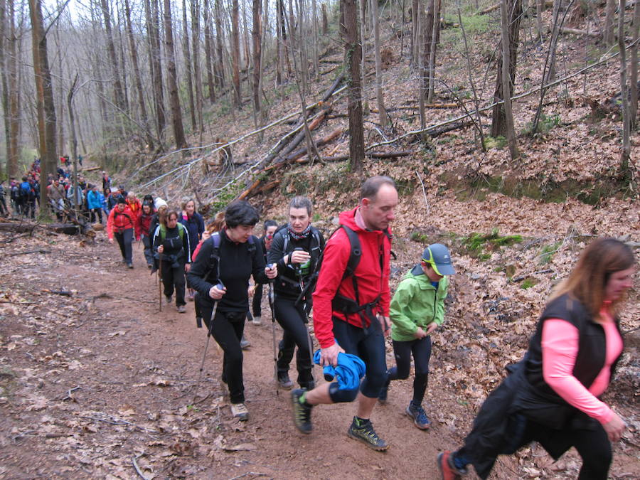 El grupo de montaña Aizkardi, de Amasa-Villabona, celebró el domingo su 50 marcha montañera con gran éxito de participación, 764 personas que desafiaron al mal tiempo con humor. De ellos 316 montañeros partieron a las siete de la mañana desde la plaza de Villabona para completar un recorrido de 43 kilómetros. A las ocho fueron 448 los que dieron comienzo a la marcha con el objetivo de hacer 22 kilómetros. El barro fue el mayor enemigo y lo positivo que la lluvia dio tregua. Gorka Zubeldia recibió el premio Shebe Peña.