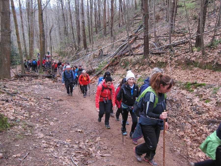 El grupo de montaña Aizkardi, de Amasa-Villabona, celebró el domingo su 50 marcha montañera con gran éxito de participación, 764 personas que desafiaron al mal tiempo con humor. De ellos 316 montañeros partieron a las siete de la mañana desde la plaza de Villabona para completar un recorrido de 43 kilómetros. A las ocho fueron 448 los que dieron comienzo a la marcha con el objetivo de hacer 22 kilómetros. El barro fue el mayor enemigo y lo positivo que la lluvia dio tregua. Gorka Zubeldia recibió el premio Shebe Peña.