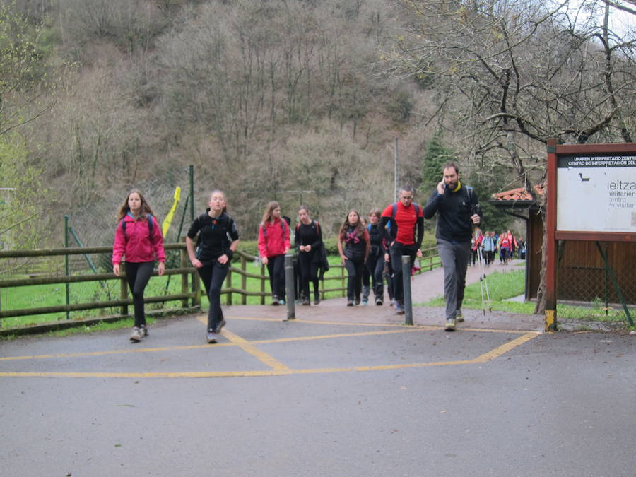 El grupo de montaña Aizkardi, de Amasa-Villabona, celebró el domingo su 50 marcha montañera con gran éxito de participación, 764 personas que desafiaron al mal tiempo con humor. De ellos 316 montañeros partieron a las siete de la mañana desde la plaza de Villabona para completar un recorrido de 43 kilómetros. A las ocho fueron 448 los que dieron comienzo a la marcha con el objetivo de hacer 22 kilómetros. El barro fue el mayor enemigo y lo positivo que la lluvia dio tregua. Gorka Zubeldia recibió el premio Shebe Peña.
