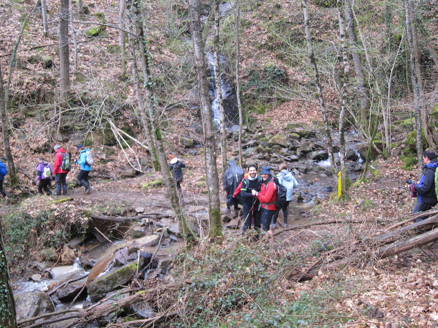 El grupo de montaña Aizkardi, de Amasa-Villabona, celebró el domingo su 50 marcha montañera con gran éxito de participación, 764 personas que desafiaron al mal tiempo con humor. De ellos 316 montañeros partieron a las siete de la mañana desde la plaza de Villabona para completar un recorrido de 43 kilómetros. A las ocho fueron 448 los que dieron comienzo a la marcha con el objetivo de hacer 22 kilómetros. El barro fue el mayor enemigo y lo positivo que la lluvia dio tregua. Gorka Zubeldia recibió el premio Shebe Peña.