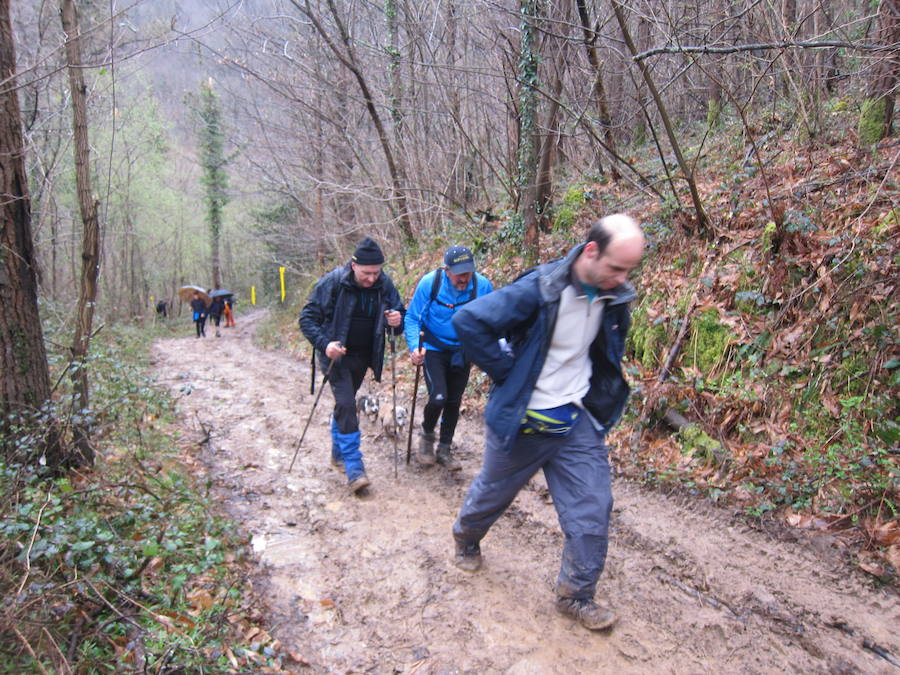El grupo de montaña Aizkardi, de Amasa-Villabona, celebró el domingo su 50 marcha montañera con gran éxito de participación, 764 personas que desafiaron al mal tiempo con humor. De ellos 316 montañeros partieron a las siete de la mañana desde la plaza de Villabona para completar un recorrido de 43 kilómetros. A las ocho fueron 448 los que dieron comienzo a la marcha con el objetivo de hacer 22 kilómetros. El barro fue el mayor enemigo y lo positivo que la lluvia dio tregua. Gorka Zubeldia recibió el premio Shebe Peña.