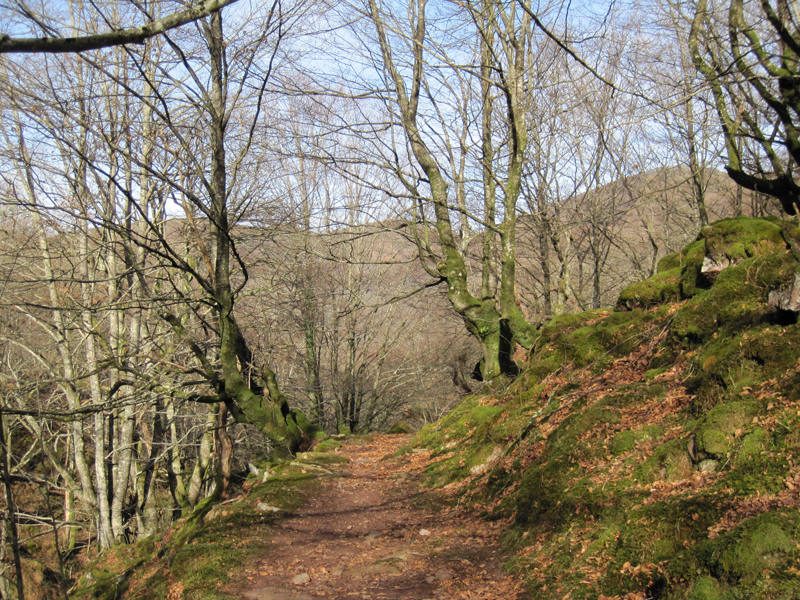 Entre las cumbres amables que trazan la muga entre los valles de Baztan y Aldude se encuentra la enigmática Harrikulunka. Cuentan que es en los días de fuerte viento, cuando la tempestad se cierne sobre las montañas del Pirineo, cuando esta gran piedra se balancea sin necesidad de que nadie la empuje. Su leyenda nos lleva hasta tiempos lejanos, cuando los míticos gentiles poblaban estas tierras. No hace falta viajar tan atrás para descubrir un pasado inquietante. Y es que hace solo un puñado de años, los senderos que hoy recorremos eran un continuo ir y venir de contrabandistas y guardias de fronteras